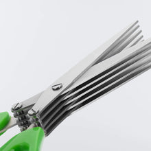 Kitchen herb scissors with five stainless steel blades